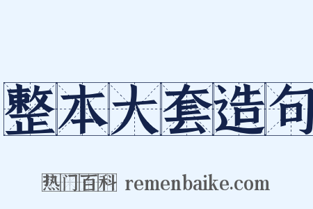 整本大套造句是什么意思的图片